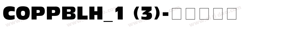 COPPBLH_1 (3)字体转换